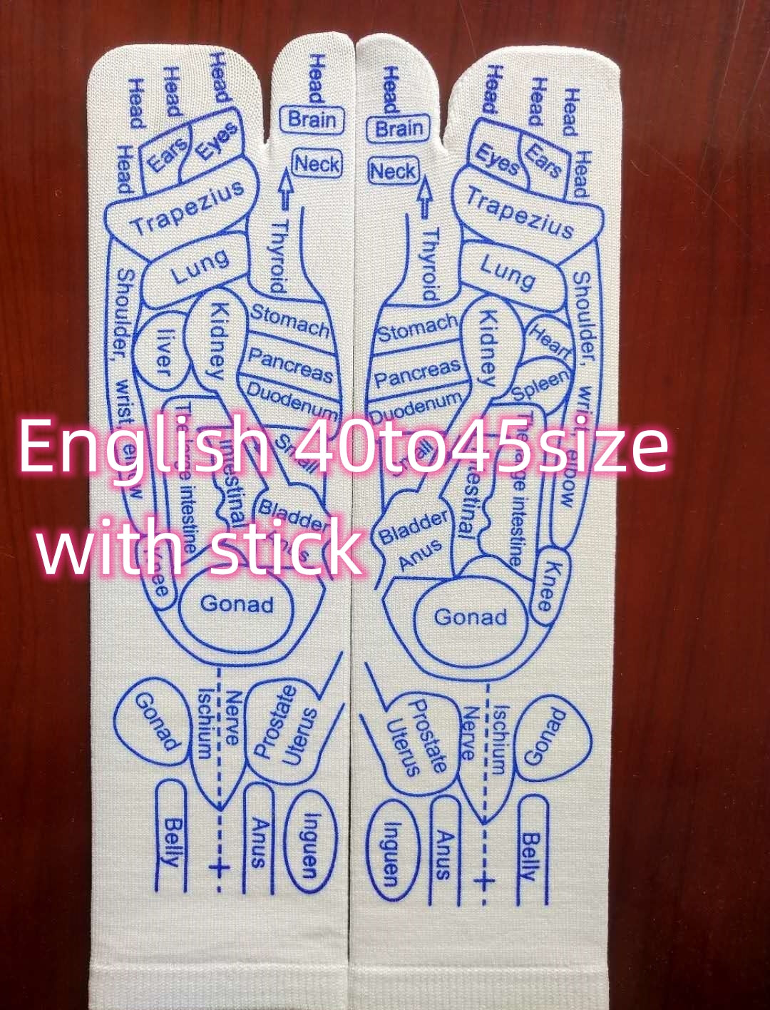 b5797423fdd501edc56bfec331c48a92