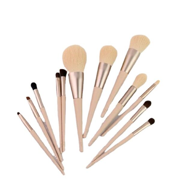 12 Morandi Makeup brush set - Image 4