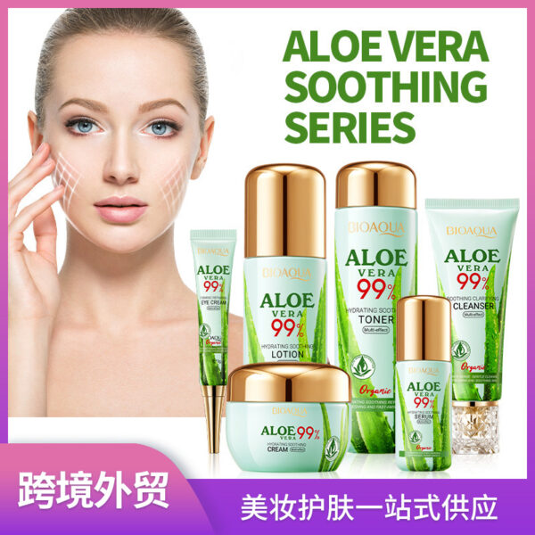 Aloe vera soothing tender gentle cleanser