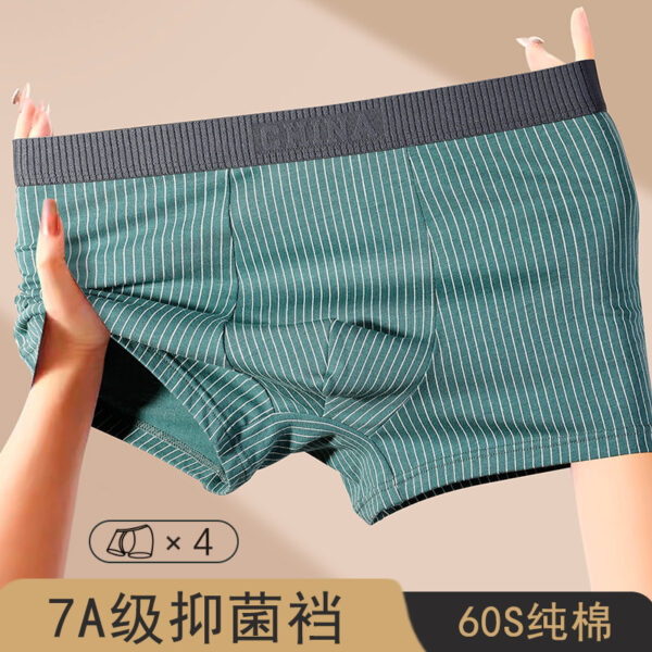 New men's underwear cotton boxer
