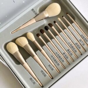 12 Morandi Makeup brush set