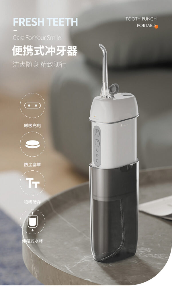 Piston pump, dental scaler, electric oral irrigator - Image 4