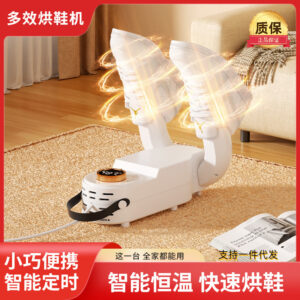Deodorization shoe dryer