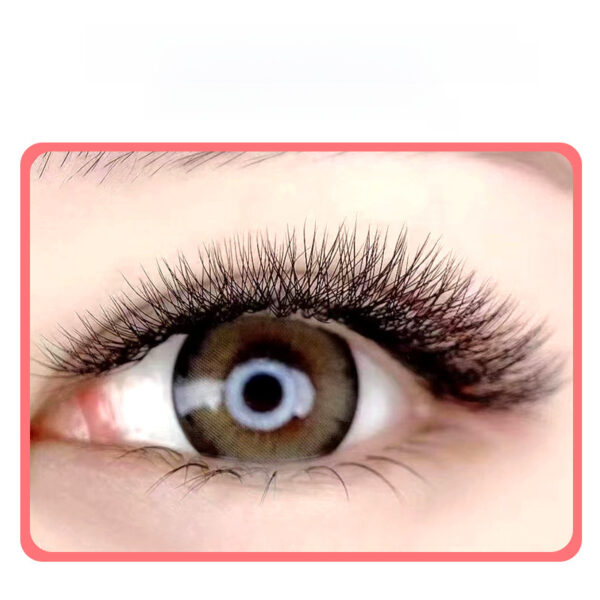 Pre-Shaped 5D Flowering Eyelashes. - Image 3